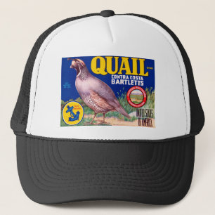 Gorra De Camionero Codornices