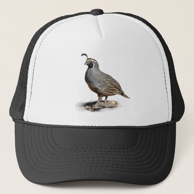 GORRA DE CAMIONERO CODORNICES DE CALIFORNIA (Anverso)