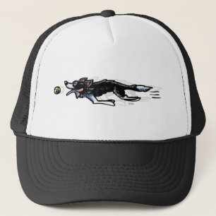 Gorra De Camionero Collie de borde en acción