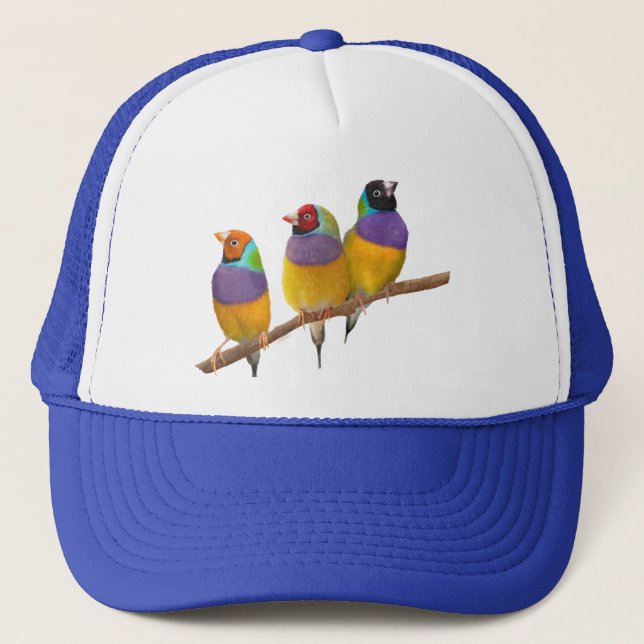 Gorra De Camionero Coloridas fincas gouldianas en pasteles (Anverso)