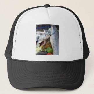 Gorra De Camionero Comida fría de Alaska de los salmones