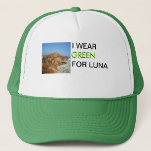 Gorra de camionero con un color de cáncer para mi