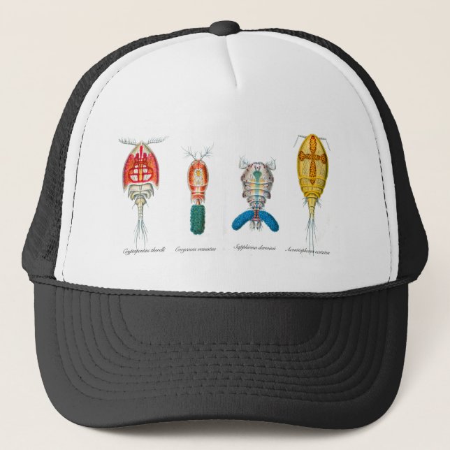 Gorra De Camionero Copepods (Anverso)