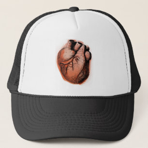 Gorra De Camionero Corazón anatómicamente correcto