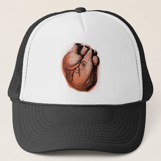 Gorra De Camionero Corazón anatómicamente correcto (Anverso)