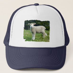 Gorra De Camionero Cordero bebé lindo y embarrado en una pradera
