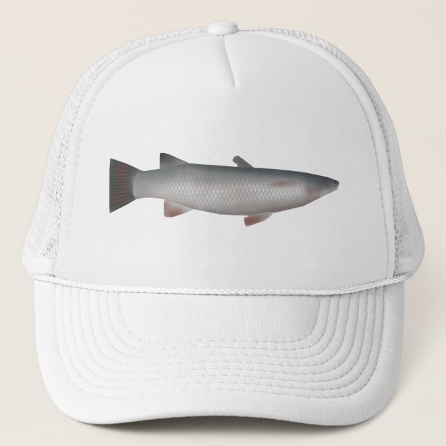 Gorra De Camionero Corsula (Anverso)