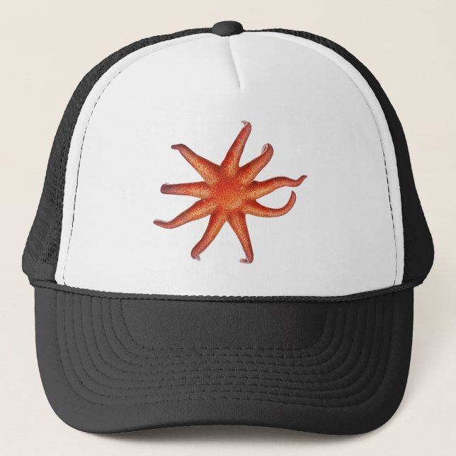 Gorra De Camionero cosecha de estampido (Anverso)