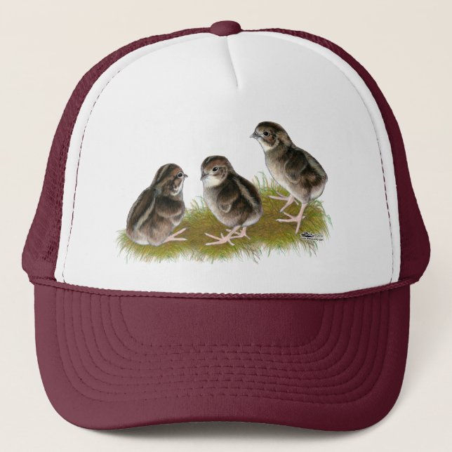 Gorra De Camionero Coturnix Quail Chicks (Anverso)