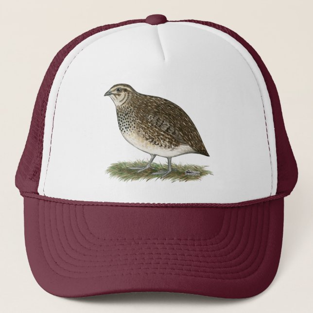 Gorra De Camionero Coturnix Quail Hen (Anverso)