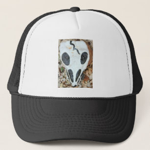 Gorra De Camionero cráneo pintado