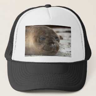 Gorra De Camionero Cría de foca de elefante