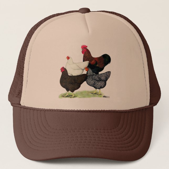 Gorra De Camionero Cuarteto de la Roca Plymouth (Anverso)