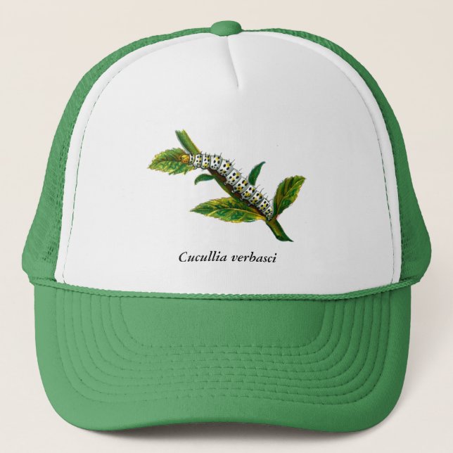Gorra De Camionero Cucullia verbasci caterpillar (Anverso)