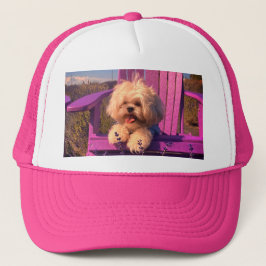 Gorra De Camionero Cuddly Curious Shih Tzu Puppy, Dog Relaxing