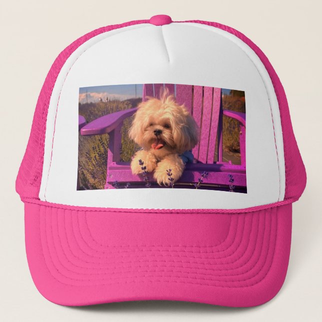 Gorra De Camionero Cuddly Curious Shih Tzu Puppy, Dog Relaxing (Anverso)