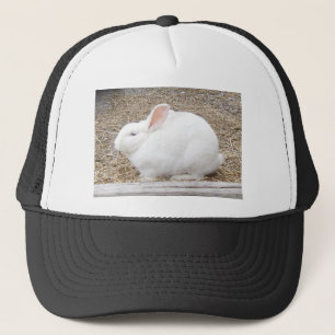 Gorra De Camionero Curiosamente Bunny Blanco