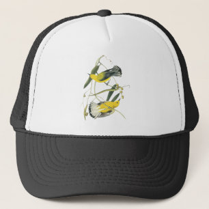 Gorra De Camionero Curruca del protonotario, Juan Audubon