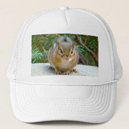 Gorra De Camionero Cute Chipmunk Tiene La Vista En Ti