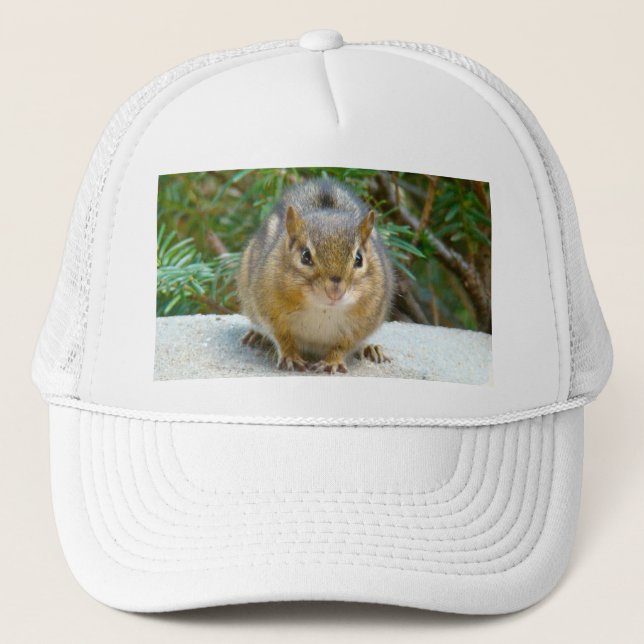 Gorra De Camionero Cute Chipmunk Tiene La Vista En Ti (Anverso)