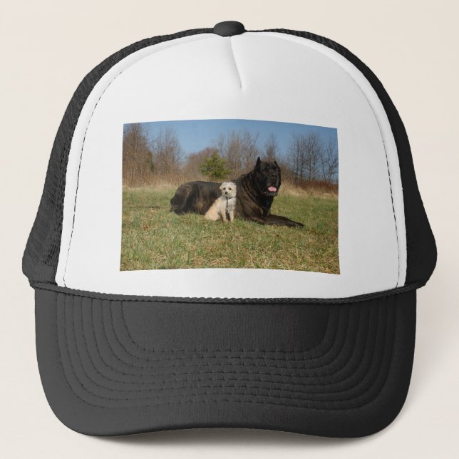 Gorra De Camionero Cute Dog Pareja (Anverso)