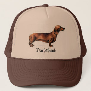 Gorra De Camionero Dachshund