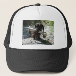 Gorra De Camionero Dachshund
