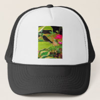 Damselfly y Rosa