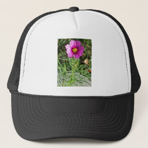 Gorra De Camionero Dark pink Cosmos daisy flower