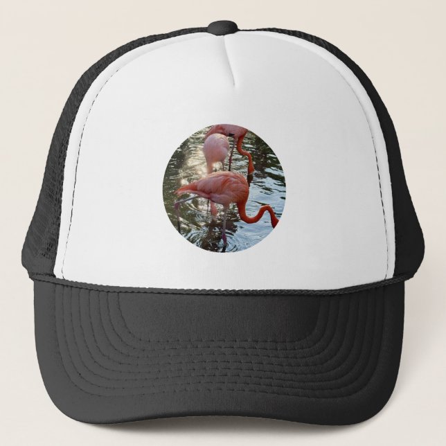 Gorra de camionero de flamenco (Anverso)