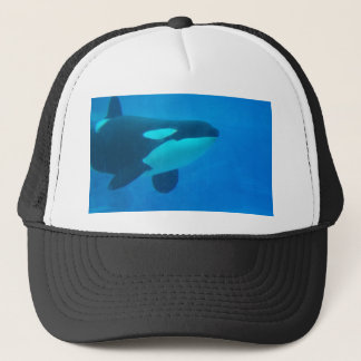Gorra De Camionero de la orca de la orca azul bajo el agua