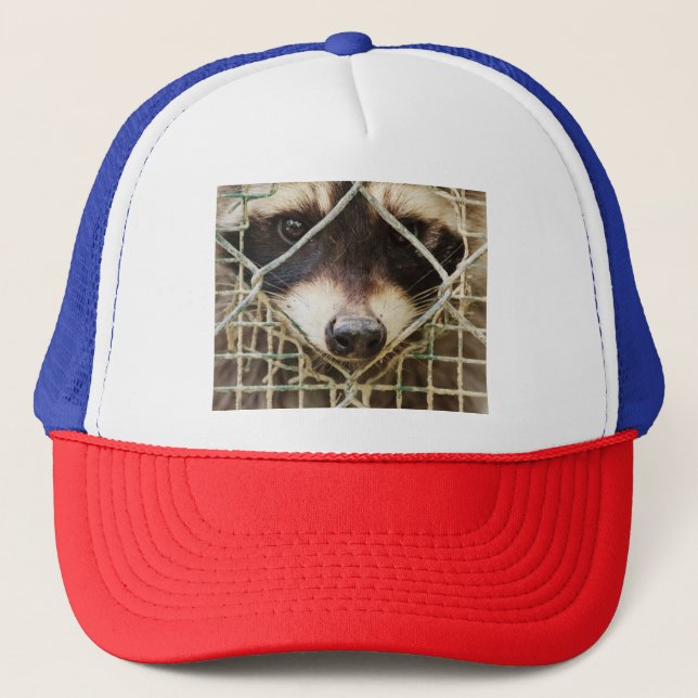 GORRA DE CAMIONERO DE MAPACHE (Anverso)
