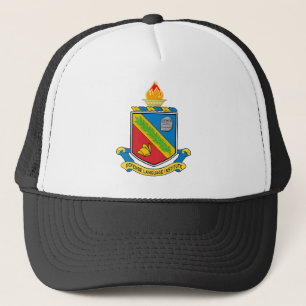 Gorra De Camionero Defense Language Institute - Monterey DUI 1