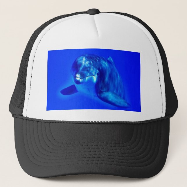 Gorra De Camionero Delfín (Anverso)