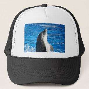 Gorra De Camionero Delfín Lindo Playa Paz Amor Fiesta Destino