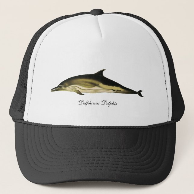 Gorra De Camionero Delphin Delphinus Delphis, mamíferos marinos vinta (Anverso)