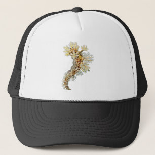 Gorra De Camionero Dendronotus