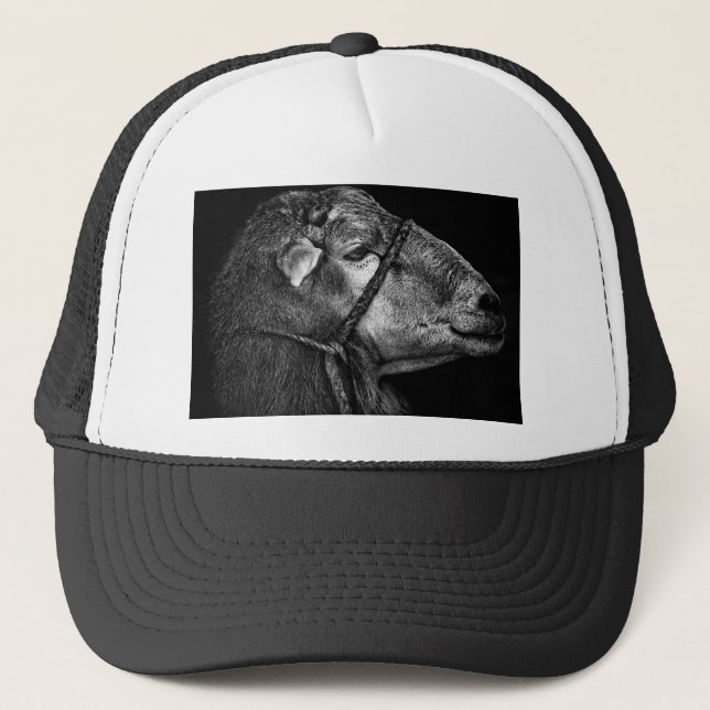 Gorra De Camionero derecho siguiente (Anverso)