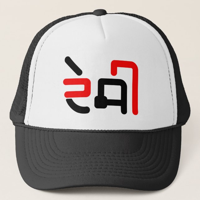 Gorra De Camionero Desi Punjabi People Hoodie (Anverso)