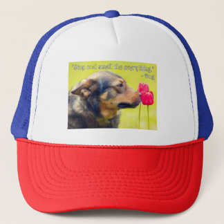 Gorra De Camionero Detente y huele todo