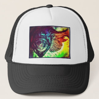 Gorra De Camionero Diarios #4 de la pesca