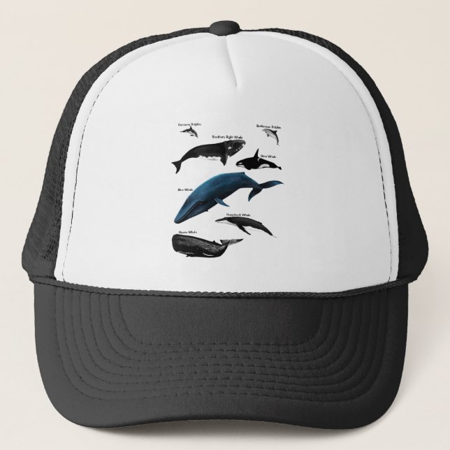 GORRA DE CAMIONERO DÍAS DE BALLENAS (Anverso)