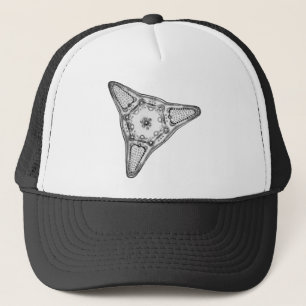 Gorra De Camionero Diatomea
