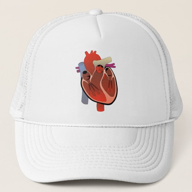 GORRA DE CAMIONERO DIBUJO MÉDICO DEL CORAZÓN ANATÓMICO (Anverso)
