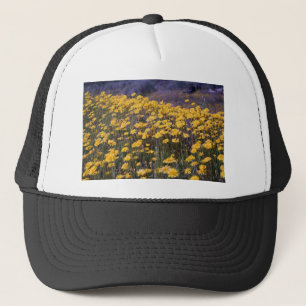 Gorra De Camionero Dientes de león