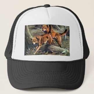 Gorra De Camionero Dingo australiano