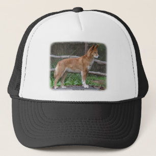 Gorra De Camionero Dingo australiano 9Y209D-268