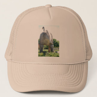 Gorra De Camionero Dinosaurio Brontosauro
