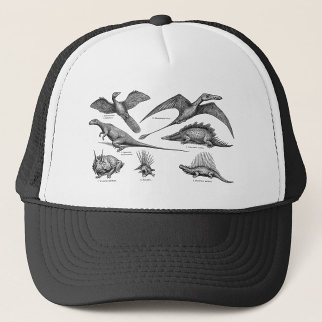 Gorra De Camionero Dinosaurios retros del ilustracion del dinosaurio (Anverso)