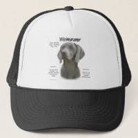 Diseño de la historia de Weimaraner